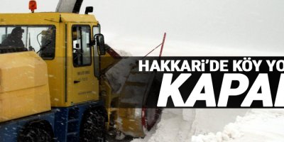 Hakkari'de 25 köy ve mezra yolu ulaşıma kapandı