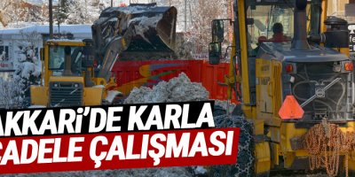 Hakkari’de karla mücadele çalışması