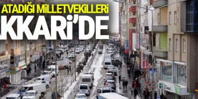 AKP’nin atadığı milletvekilleri Hakkari’de