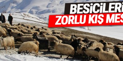 Besicilerin zorlu kış mesaisi