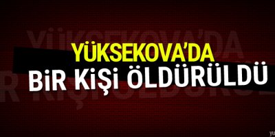 Yüksekova'da bir kişi öldürüldü