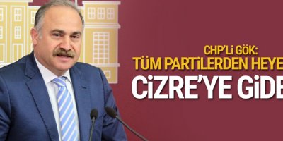 Gök: Tüm partilerden heyetlerle Cizre’ye gidelim