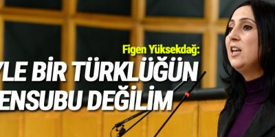 Figen Yüksekdağ: Böyle bir Türklüğün mensubu değilim