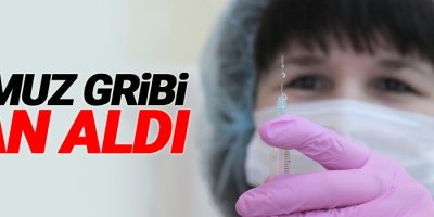 Domuz gribi yine can aldı