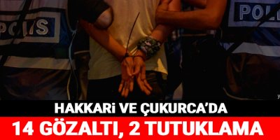 Hakkari ve Çukurca'da 14 gözaltı, 2 tutuklama