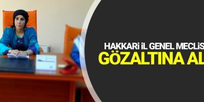 Hakkari İl Genel Meclisi üyesi İliş gözaltına alındı