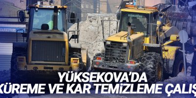 Yüksekova'da buz küreme ve kar temizleme çalışması