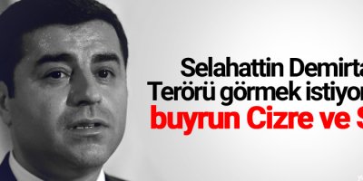 Demirtaş: Terörü görmek istiyorsanız...