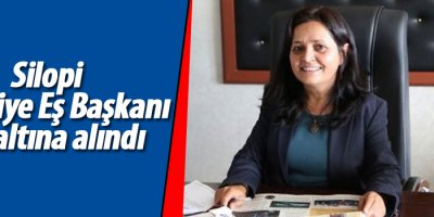Silopi Belediye Eş Başkanı gözaltına alındı