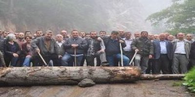 TEMA Vakfı: Cerattepe kurtarılmalı