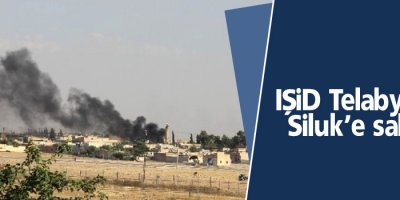 IŞİD Telabyad ve Siluk’e saldırdı