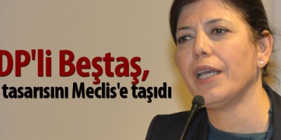 HDP'li Beştaş, o yasa tasarısını Meclis'e taşıdı