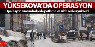Yüksekova'da operasyon