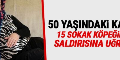 50 yaşındaki kadın 15 sokak köpeğinin saldırısına uğradı