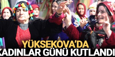 Yüksekova'da kadınlar günü kutlandı