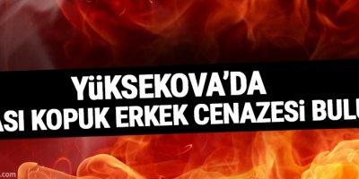 Yüksekova'da kafası kopuk erkek cenazesi bulundu