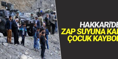 Hakkari'de Zap deresine düşen çocuk kayboldu