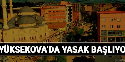 Yüksekova'da Sokağa Çıkma yasağı
