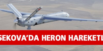 Yüksekova'da Heron Hareketliliği