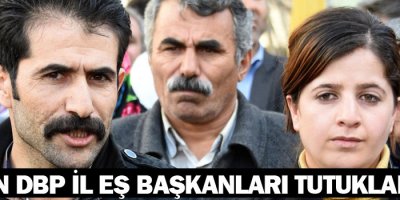 Van DBP il eş başkanları tutuklandı