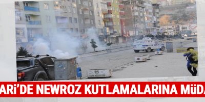 Hakkari'de Newroz kutlamalarına müdahale edildi