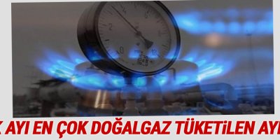 Ocak ayı tüm zamanların en çok doğalgaz tüketilen ayı oldu