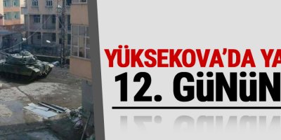 Yüksekova'da yasak 12. Gününde
