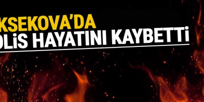 Yüksekova'da 1 polis hayatını kaybetti