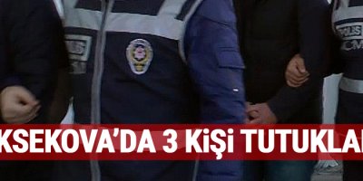 Yüksekova'da 3 kişi tutukladı