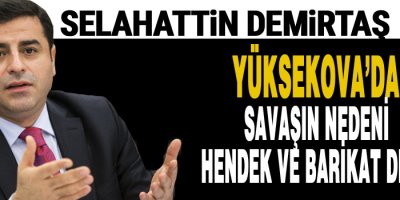 Yüksekova'da Savaşın Nedeni Hendek ve Barikat Değil