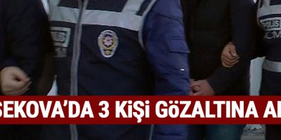 Yüksekova'da 3 gözaltı