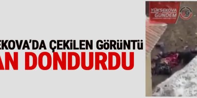 Yüksekova'dan Kan Donduran Görüntü!