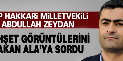HDP'li Zeydan, vahşet görüntülerini Bakan Ala'ya sordu