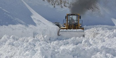 Van’da Karla Mücadele Çalışmaları