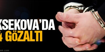 Yüksekova'da 4 Kişi Gözaltına alındı