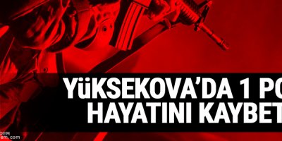 Yüksekova'da 1 Polis Hayatını Kaybetti
