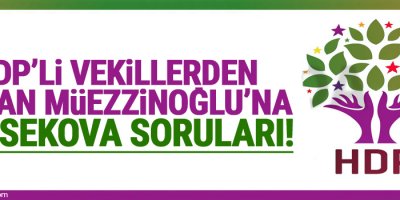 HDP'li vekillerden Bakan Müezzinoğlu'na Yüksekova soruları