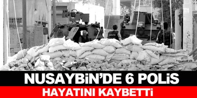 Nusaybin'de 6 polis hayatını kaybetti