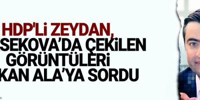 HDP'li Zeydan, Yüksekova'daki o görüntüleri Bakan Ala'ya sordu