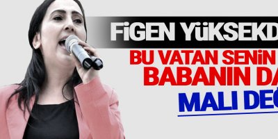 Yüksekdağ'dan Cumhurbaşkanı'na: Bu vatan senin de babanın da malı değil