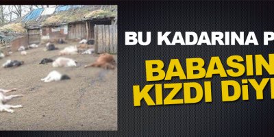 Bu kadarına pes, Babasına kızdı diye...