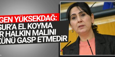 Yüksekdağ: Sur’a el koyma bir halkın malını mülkünü gasp etmedir