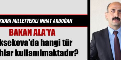HDP'den Bakan Ala'ya: Yüksekova'da hangi tür silahlar kullanılmaktadır?