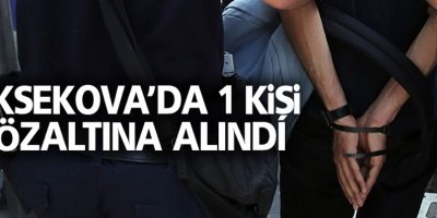 Yüksekova'da 1 Kişi Gözaltına alındı