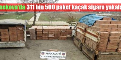 Yüksekova'da 311 Bin 500 Paket Kaçak Sigara Yakalandı