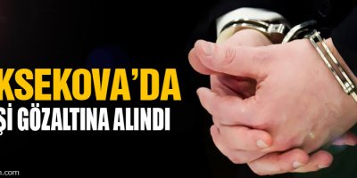 Yüksekova'da 7 Kişi Gözaltına Alındı