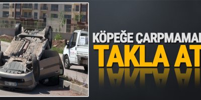 Köpeğe çarpmamak için takla attı!