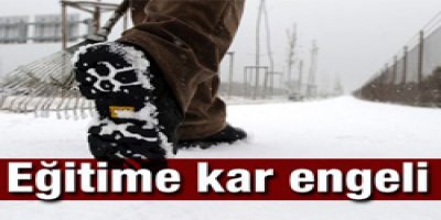 Van'da eğitime kar engeli