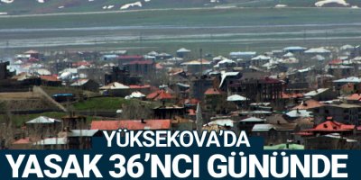 Yüksekova'da yasak 36'ncı gününde