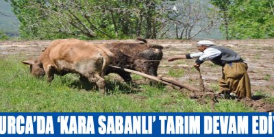 Çukurca'da 'kara sabanlı' tarım devam ediyor